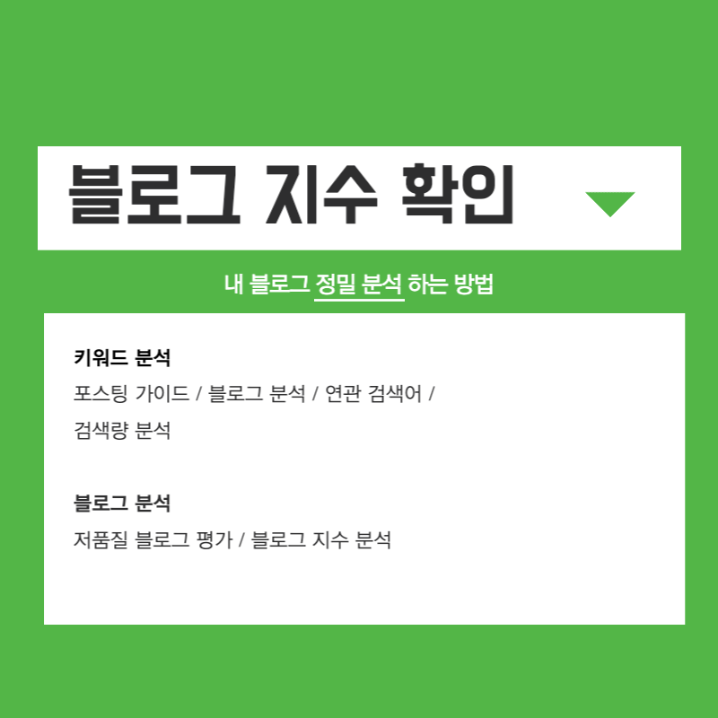 블로그 지수확인