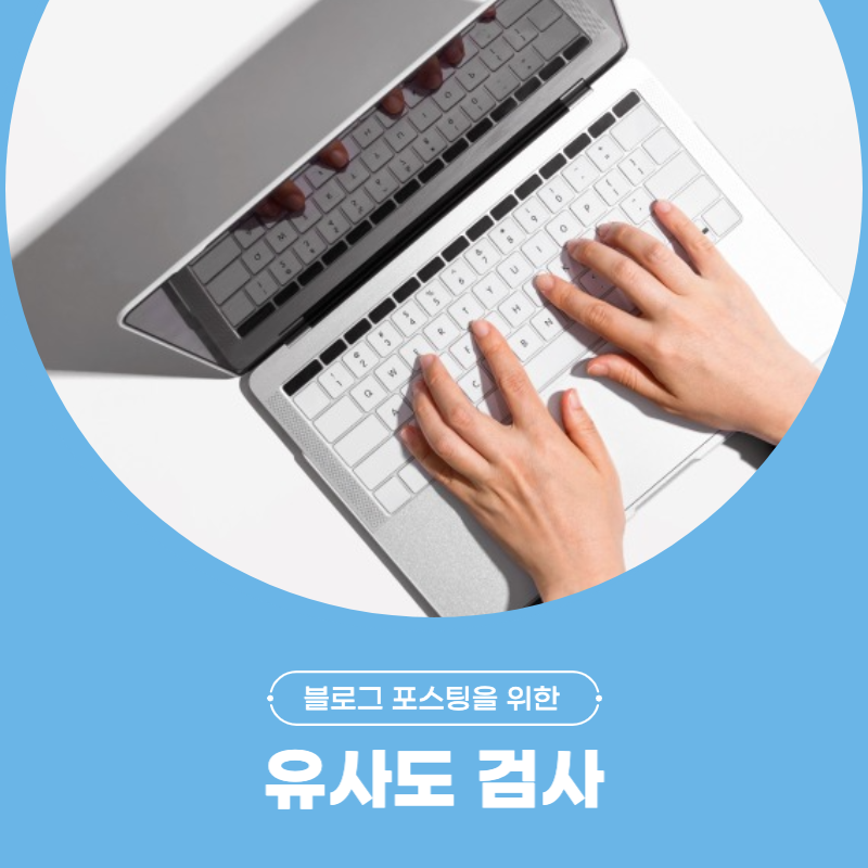 유사도 검사